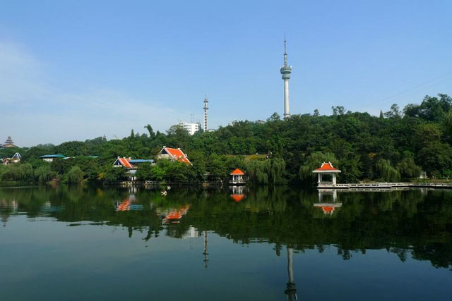 9001cc金沙以诚为本(中国)有限公司官网